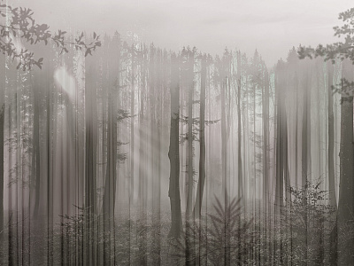 Фотообои Foresta 8, FORESTA, Wall street Фотообои Foresta 8, FORESTA, Wall street
